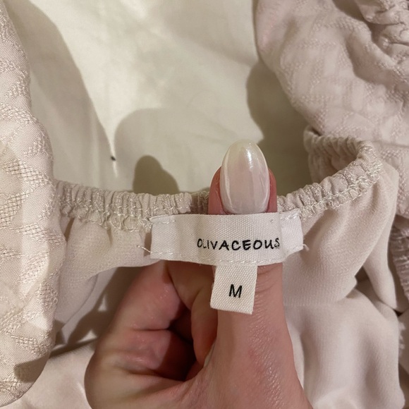 Olivaceous Mini Dress - Picture 4 of 4